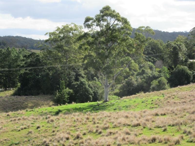 423A Gores Road, Spring Grove, Casino NSW 2470