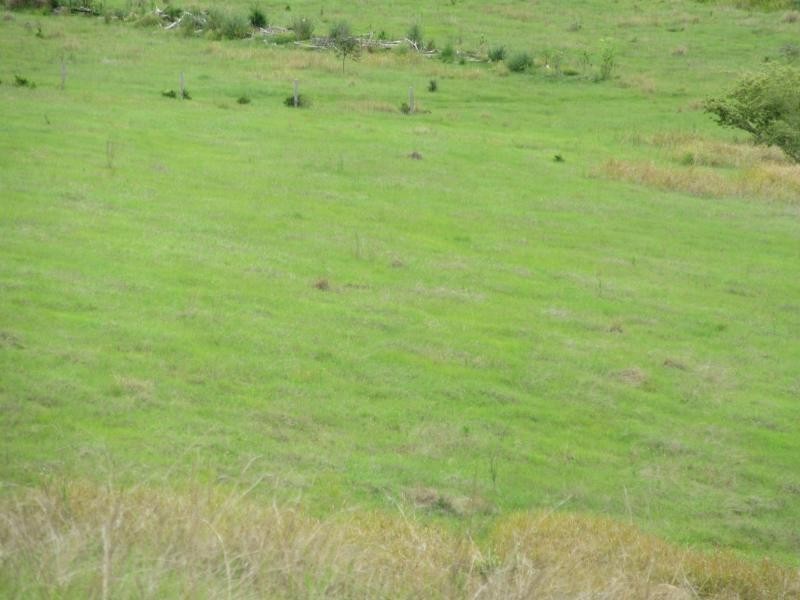 620 Tabulam Rd St, Bottle Creek NSW 2469