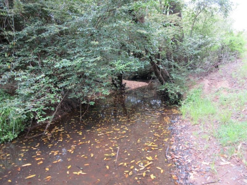 620 Tabulam Rd St, Bottle Creek NSW 2469