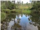 L163 Paddys Flat Rd , VIA Emu Creek, Tabulam NSW 2469