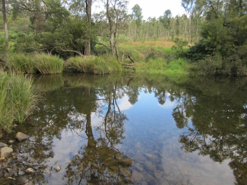 L163 Paddys Flat Rd , VIA Emu Creek, Tabulam NSW 2469