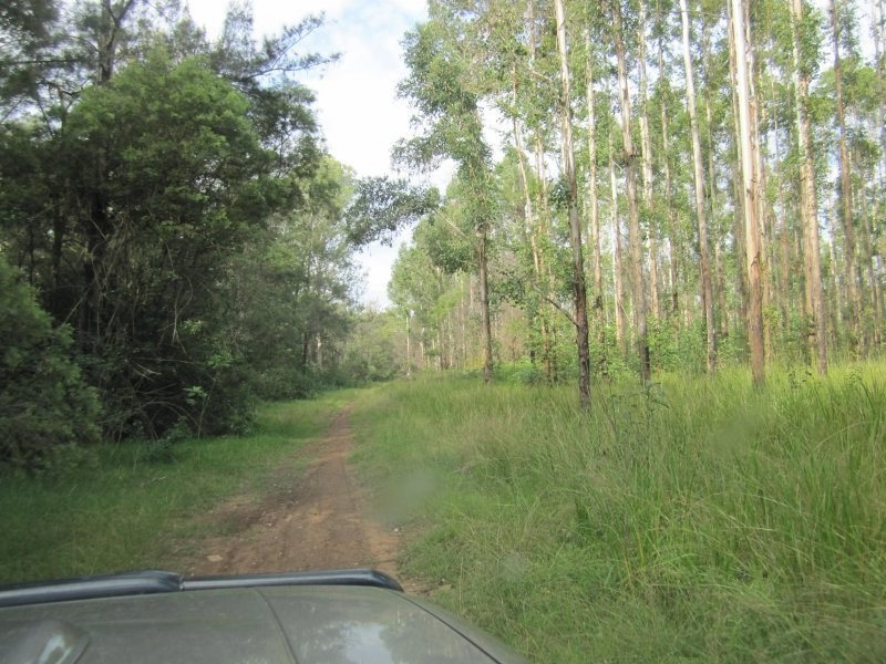 L163 Paddys Flat Rd , VIA Emu Creek, Tabulam NSW 2469