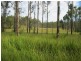 L163 Paddys Flat Rd , VIA Emu Creek, Tabulam NSW 2469