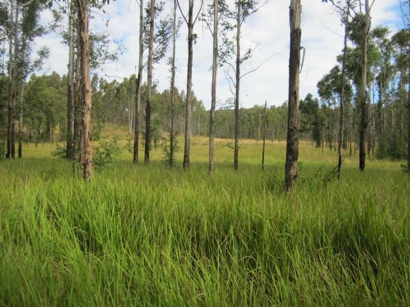 L163 Paddys Flat Rd , VIA Emu Creek, Tabulam NSW 2469