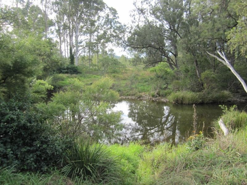 L163 Paddys Flat Rd , VIA Emu Creek, Tabulam NSW 2469