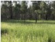 L163 Paddys Flat Rd , VIA Emu Creek, Tabulam NSW 2469