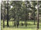 L163 Paddys Flat Rd , VIA Emu Creek, Tabulam NSW 2469