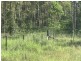 L163 Paddys Flat Rd , VIA Emu Creek, Tabulam NSW 2469