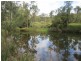 L163 Paddys Flat Rd , VIA Emu Creek, Tabulam NSW 2469