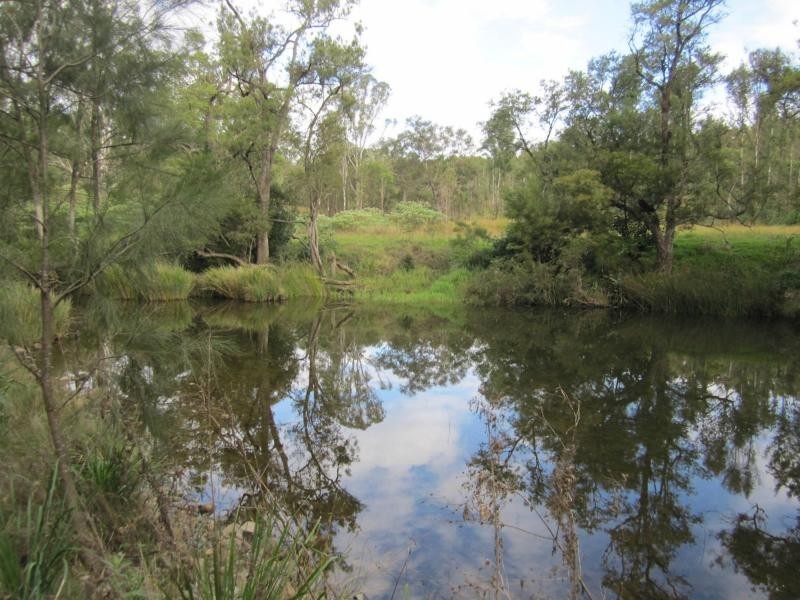 L163 Paddys Flat Rd , VIA Emu Creek, Tabulam NSW 2469