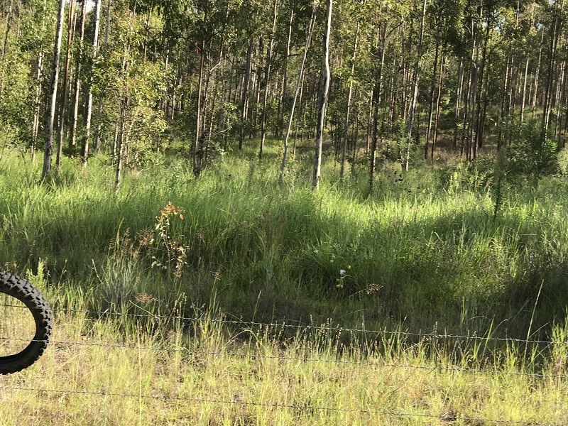 L163 Paddys Flat Rd , VIA Emu Creek, Tabulam NSW 2469