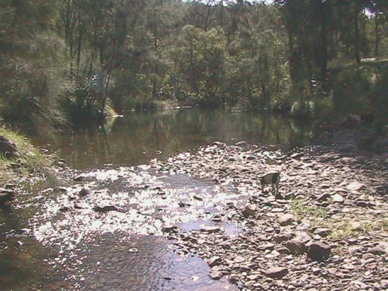 L162 (a) Emu Creek Road, VIA EMU CREEK, Tabulam NSW 2469