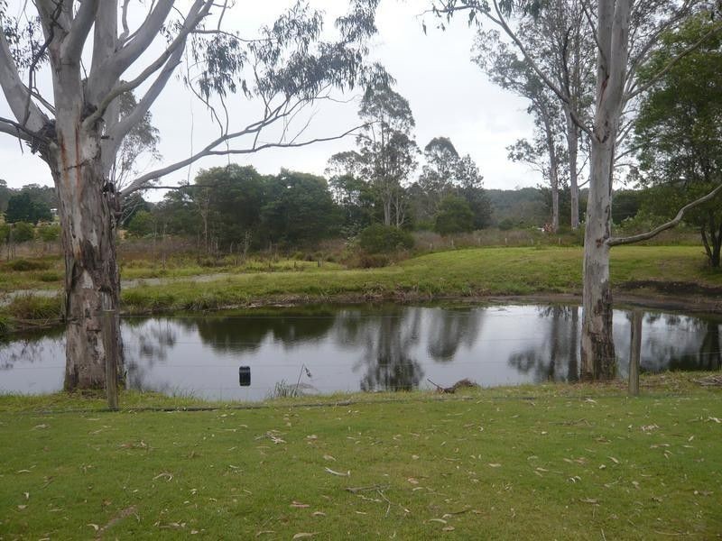 2455 Busbys Flat Road, VIA RAPPVILLE, Busbys Flat NSW 2469