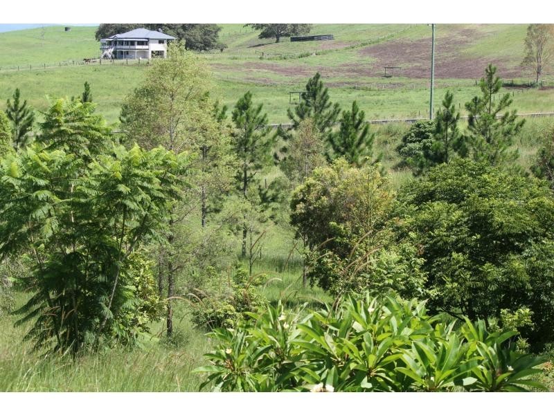 37 Durhams Road, Cedar Point NSW 2474