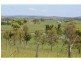 37 Durhams Road, Cedar Point NSW 2474