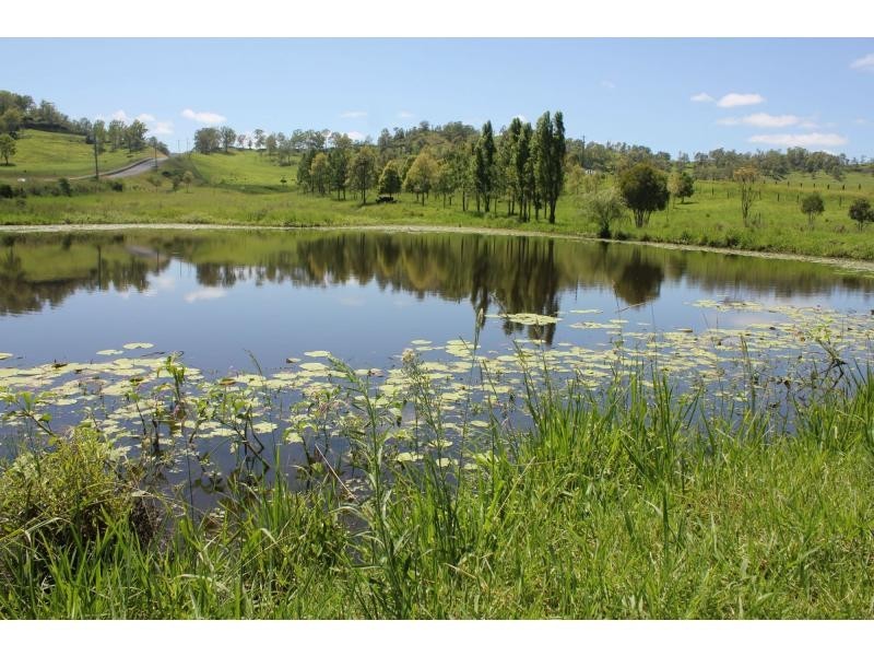 37 Durhams Road, Cedar Point NSW 2474