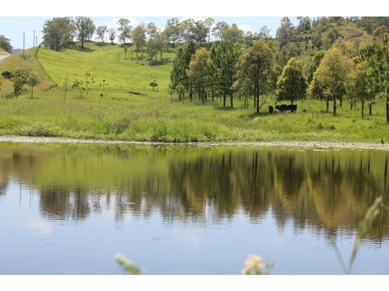 37 Durhams Road, Cedar Point NSW 2474