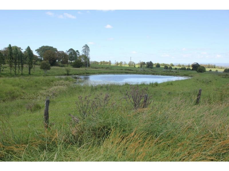 37 Durhams Road, Cedar Point NSW 2474