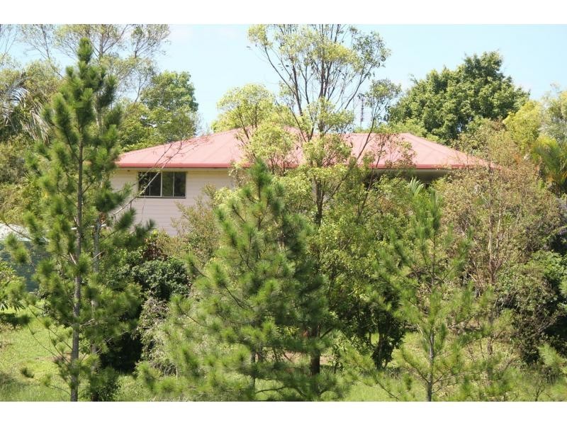 37 Durhams Road, Cedar Point NSW 2474
