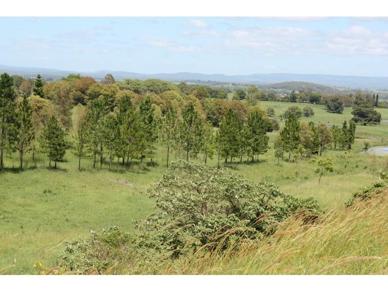 37 Durhams Road, Cedar Point NSW 2474