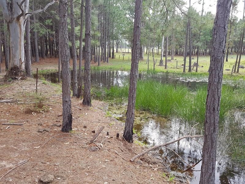 5322 Summerland Way , VIA CASINO/ GRAFTON, Whiporie NSW 2469