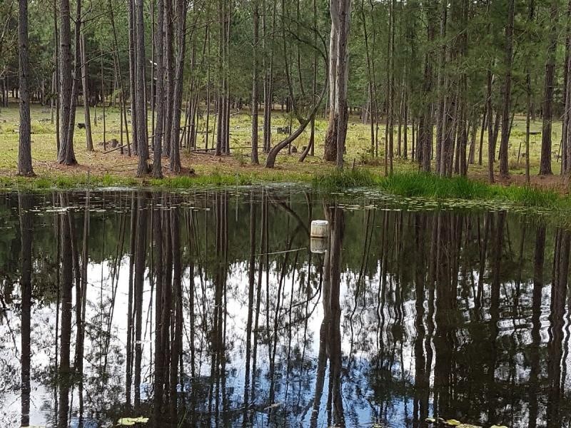 5322 Summerland Way , VIA CASINO/ GRAFTON, Whiporie NSW 2469