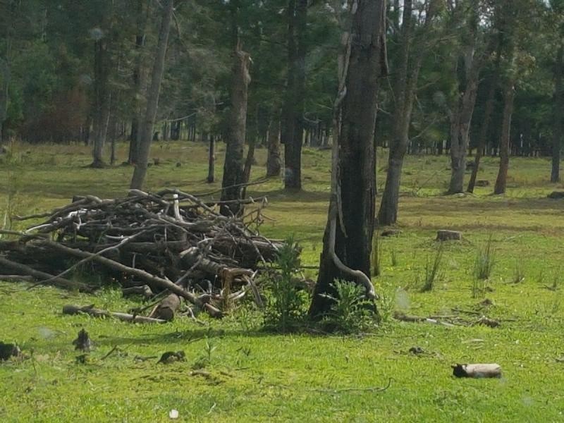 5322 Summerland Way , VIA CASINO/ GRAFTON, Whiporie NSW 2469