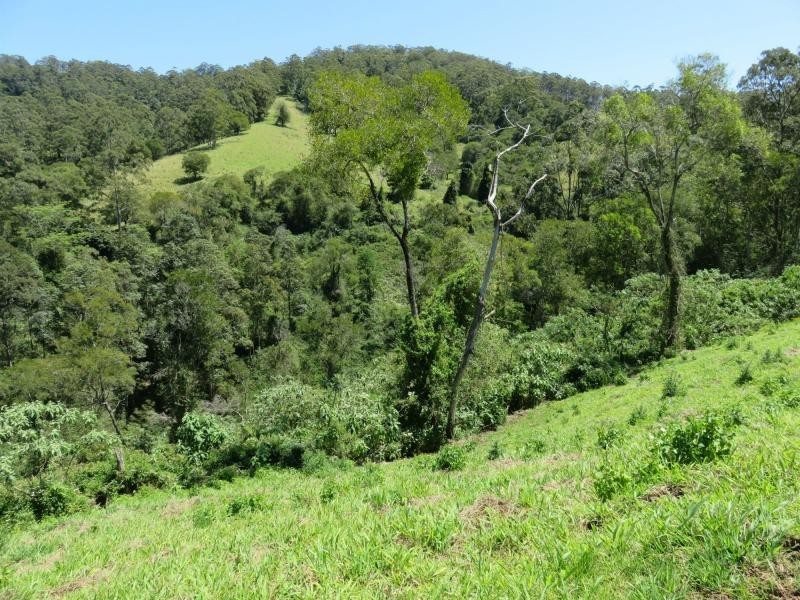 Lot 54 Sargents Road, Kyogle NSW 2474