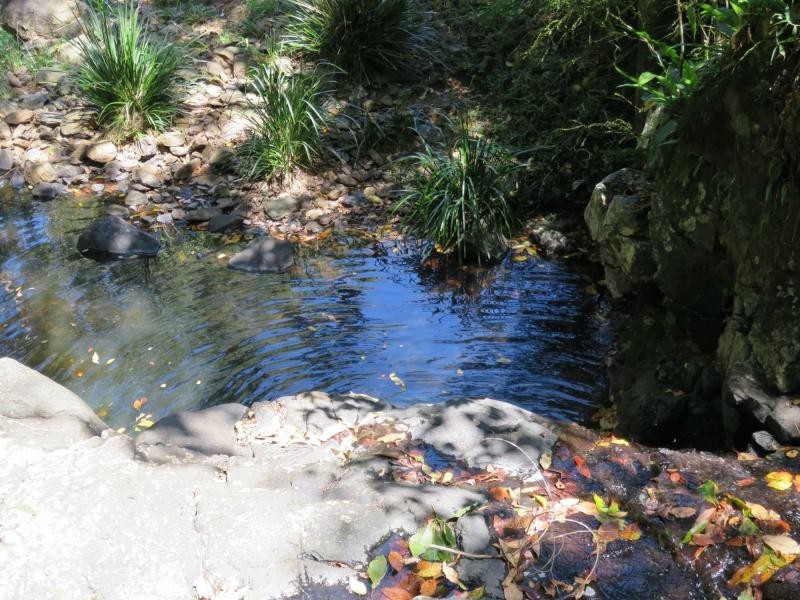 Lot 54 Sargents Road, Kyogle NSW 2474