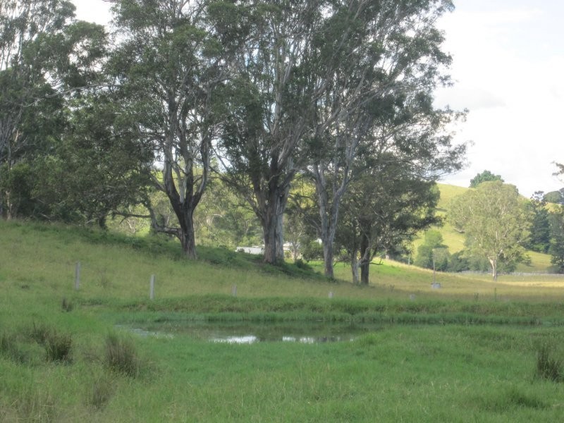 280 Simpkins Ck Road, Mummulgum NSW 2469