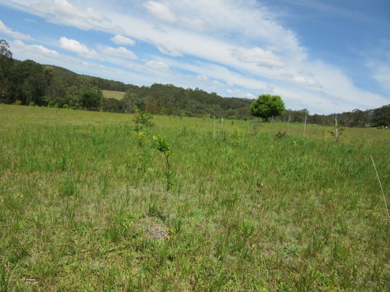 L8 Plain Station Road, Tabulam NSW 2469