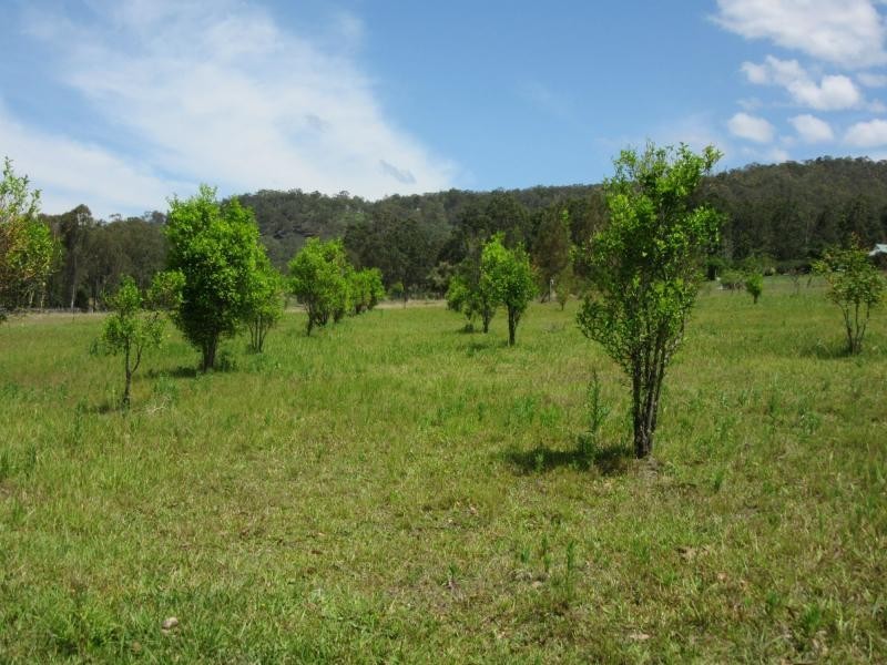 L8 Plain Station Road, Tabulam NSW 2469