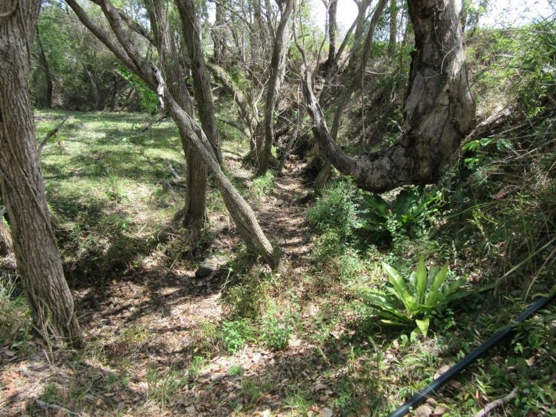 L8 Plain Station Road, Tabulam NSW 2469