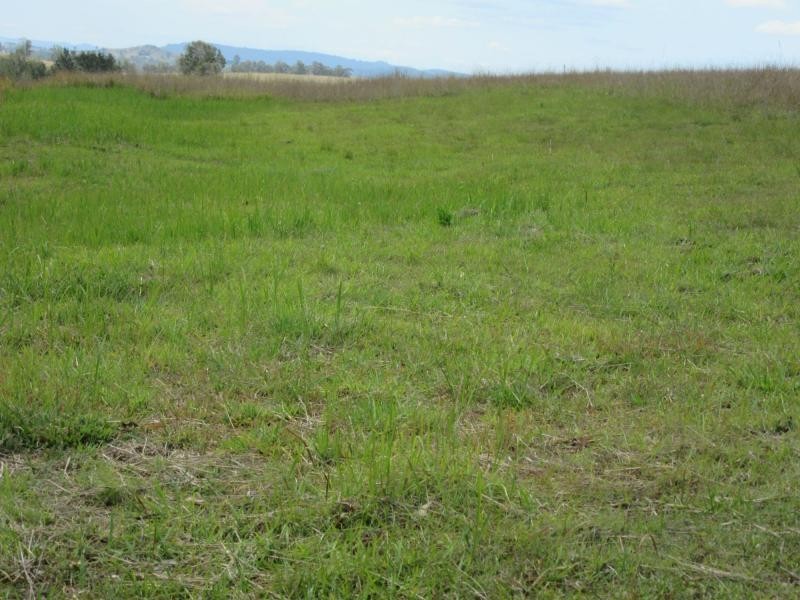 L8 Plain Station Road, Tabulam NSW 2469