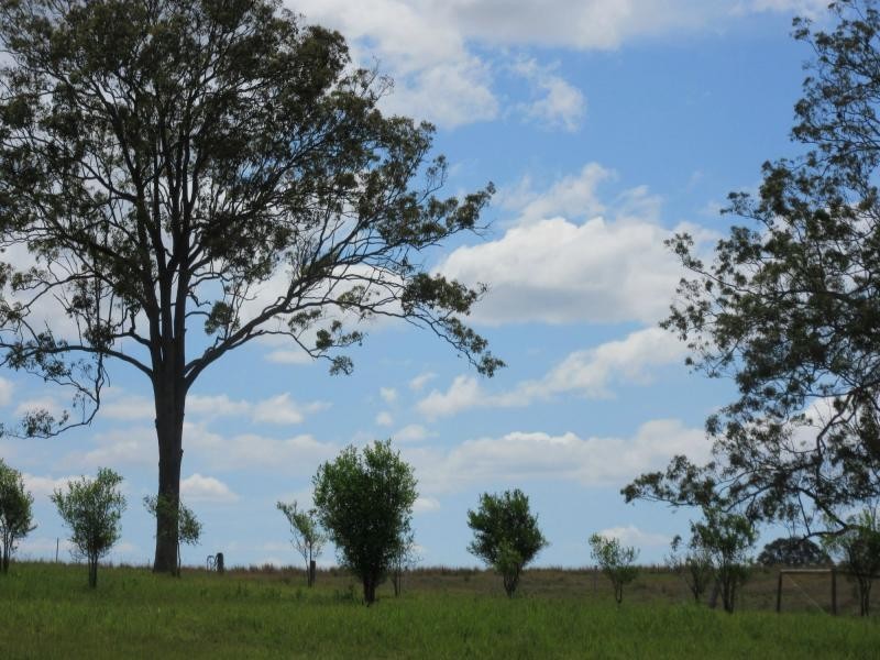 L8 Plain Station Road, Tabulam NSW 2469