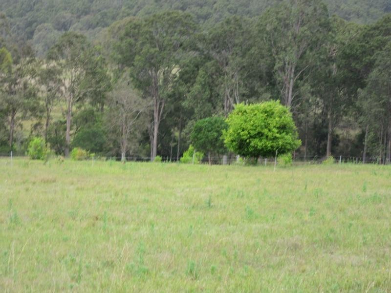 L8 Plain Station Road, Tabulam NSW 2469