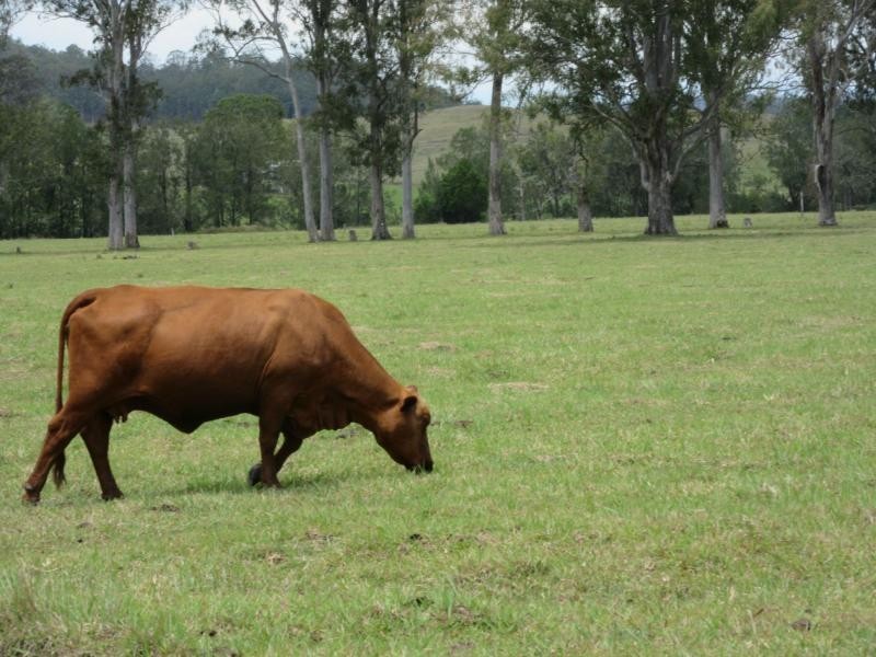 142 Hiscockes Road, Casino NSW 2470