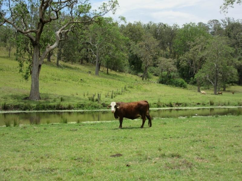 142 Hiscockes Road, Casino NSW 2470