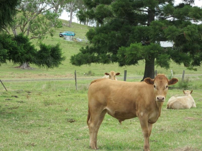 142 Hiscockes Road, Casino NSW 2470