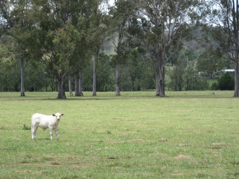 142 Hiscockes Road, Casino NSW 2470