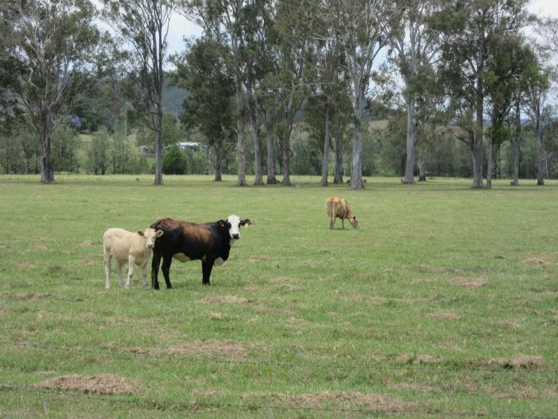 142 Hiscockes Road, Casino NSW 2470