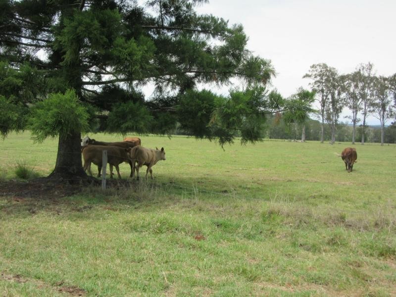 142 Hiscockes Road, Casino NSW 2470