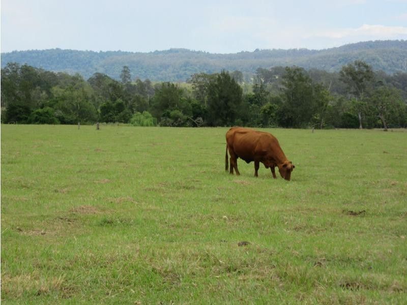 142 Hiscockes Road, Casino NSW 2470