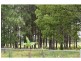 240 Mongogarie Road, Via Casino, Leeville NSW 2470