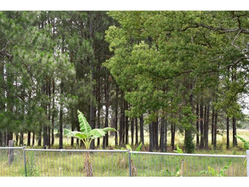 240 Mongogarie Road, Via Casino, Leeville NSW 2470