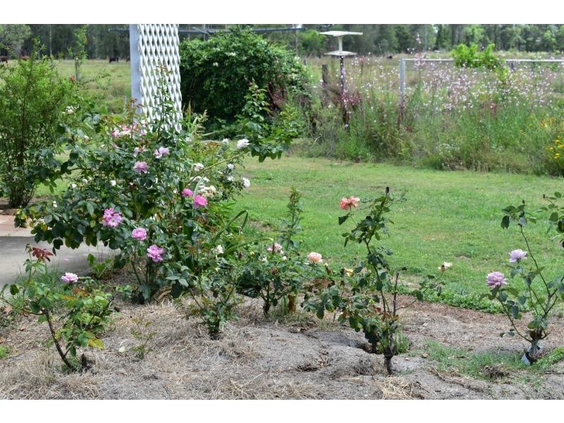 240 Mongogarie Road, Via Casino, Leeville NSW 2470