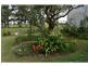 240 Mongogarie Road, Via Casino, Leeville NSW 2470