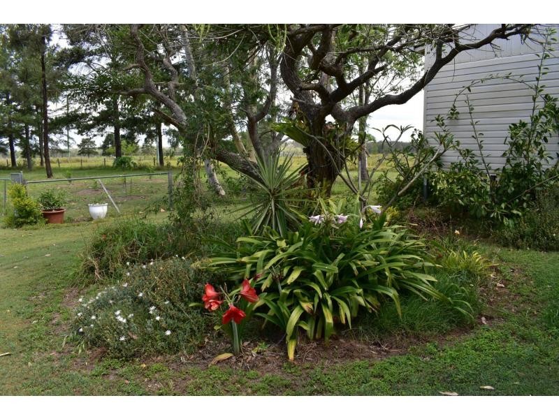 240 Mongogarie Road, Via Casino, Leeville NSW 2470
