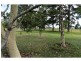 240 Mongogarie Road, Via Casino, Leeville NSW 2470