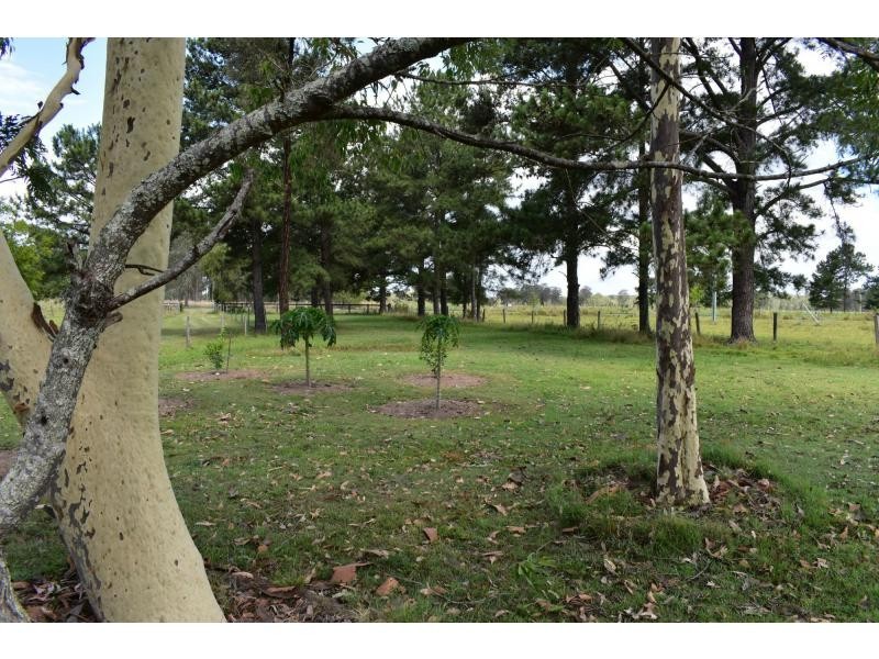 240 Mongogarie Road, Via Casino, Leeville NSW 2470